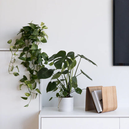 London Square Planter + Saucer Set