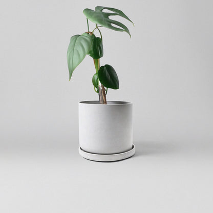 Chelsea Planter + Saucer Set